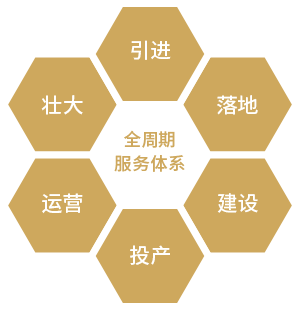 山东金年会(金字招牌) 投资有限公司 山东金年会(金字招牌) 投资有限公司